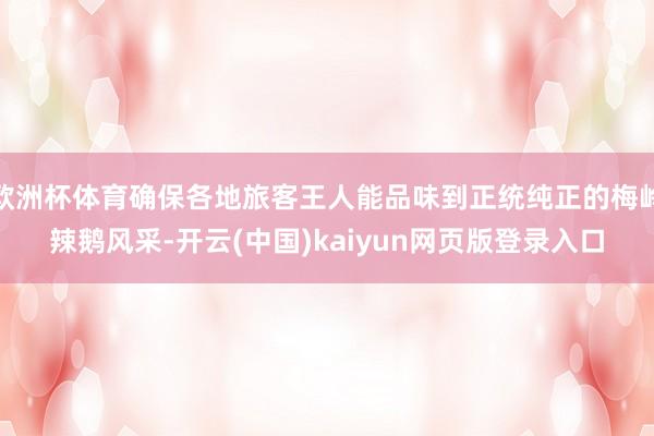 欧洲杯体育确保各地旅客王人能品味到正统纯正的梅岭辣鹅风采-开云(中国)kaiyun网页版登录入口