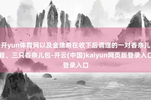 开yun体育网以及金建希在收下后调理的一对香奈儿鞋、三只香奈儿包-开云(中国)kaiyun网页版登录入口